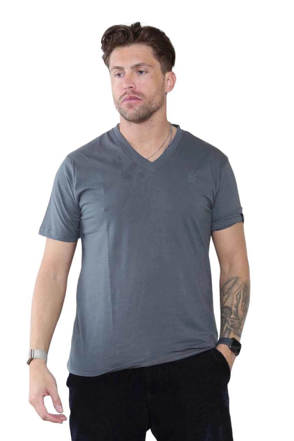 Pack of 4 Organic Cotton Men's V Neck T-Shirts