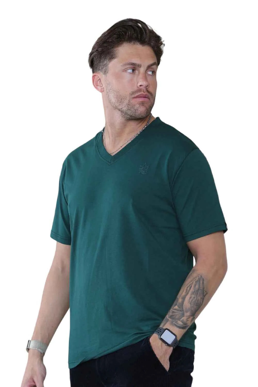 Pack of 4 Organic Cotton Men's V Neck T-Shirts