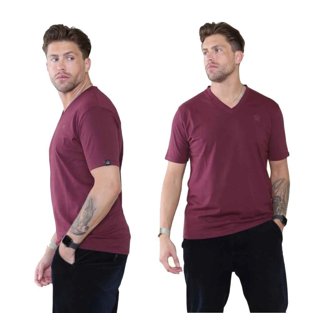 Pack of 4 Organic Cotton Men's V Neck T-Shirts