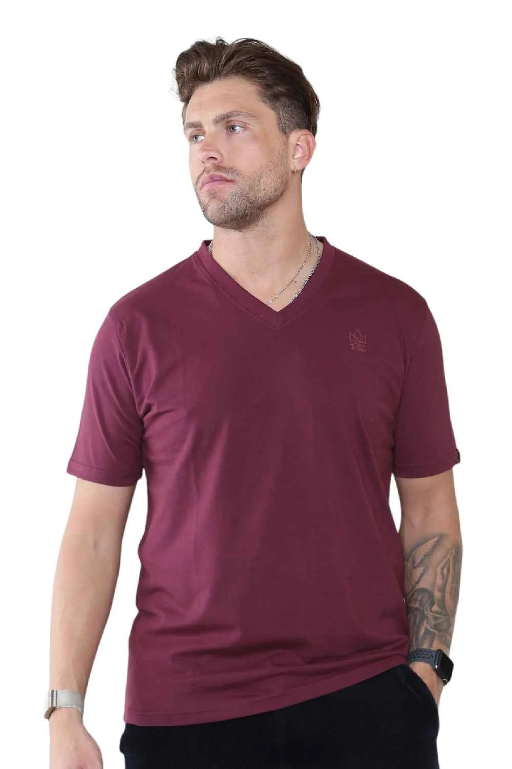 Pack of 4 Organic Cotton Men's V Neck T-Shirts