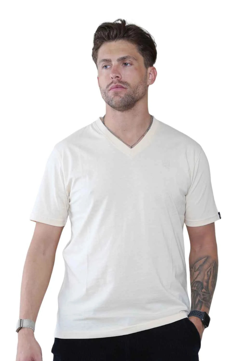 Pack of 4 Organic Cotton Men's V Neck T-Shirts