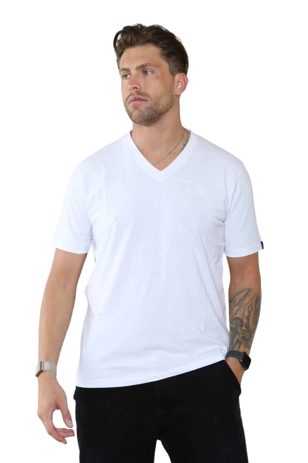 Pack of 4 Organic Cotton Men's V Neck T-Shirts
