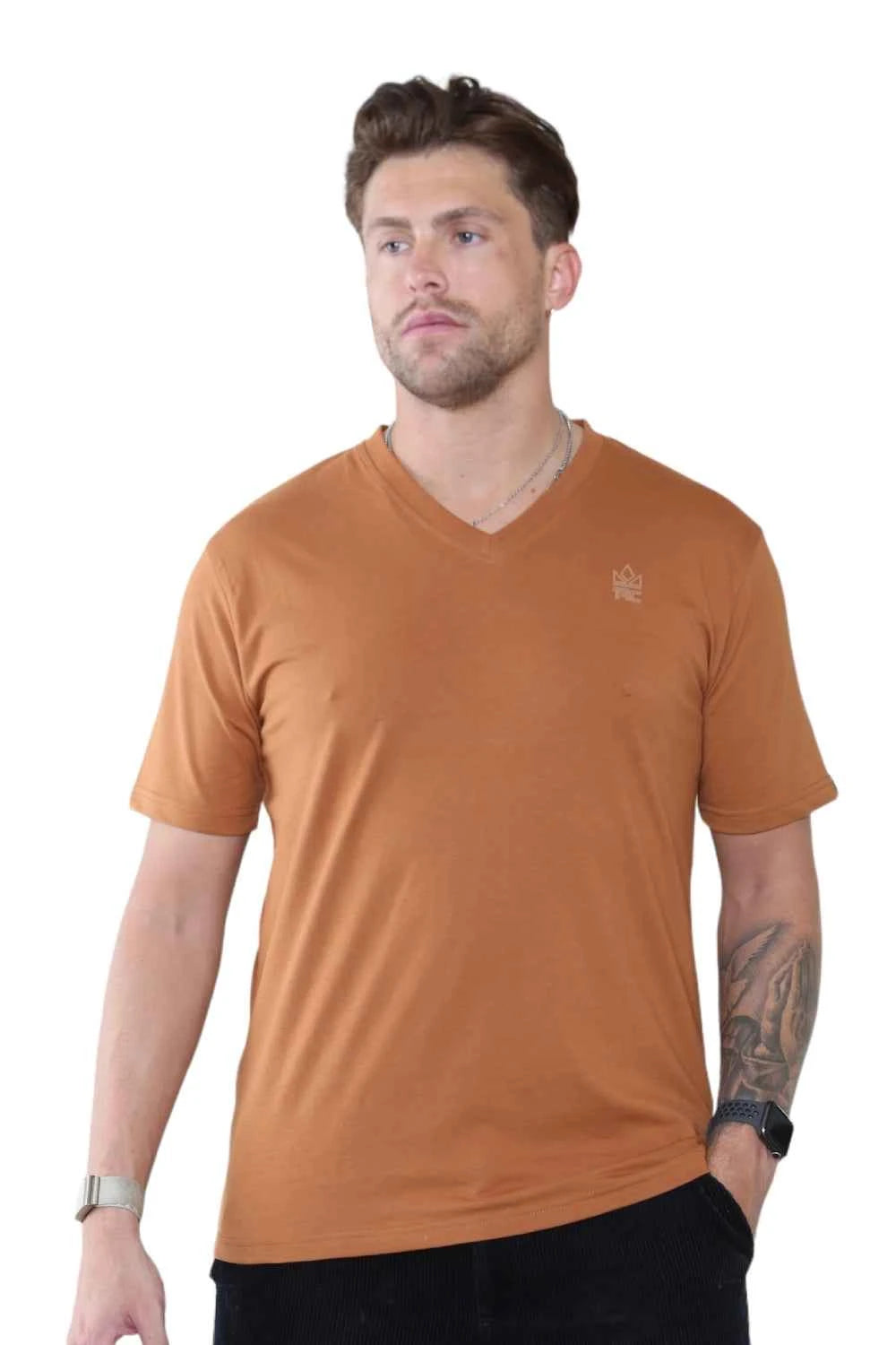 Pack of 4 Organic Cotton Men's V Neck T-Shirts