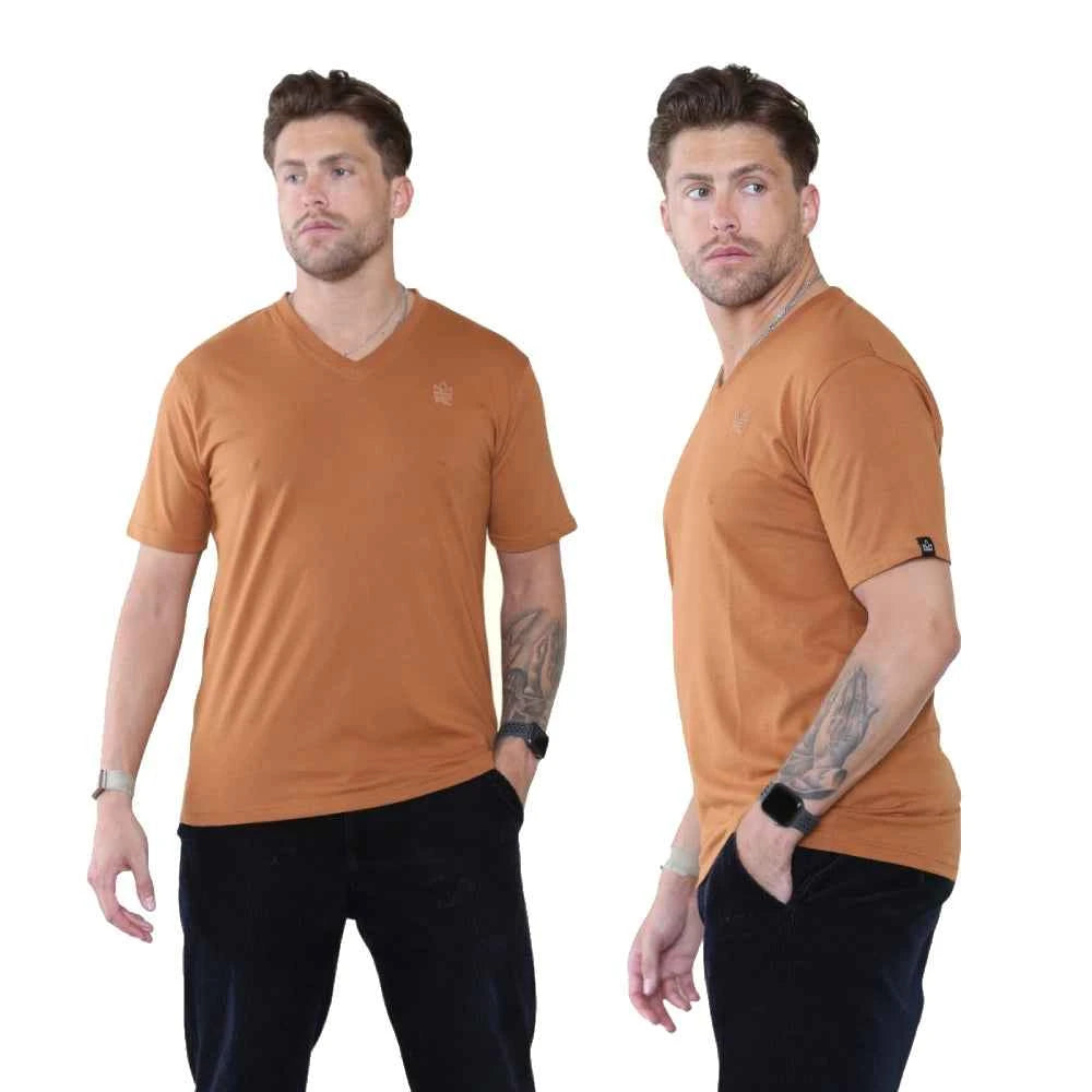 Pack of 4 Organic Cotton Men's V Neck T-Shirts
