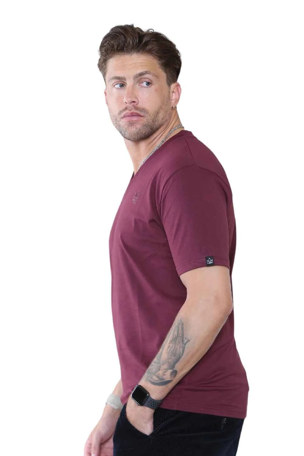 Pack of 4 Organic Cotton Men's V Neck T-Shirts