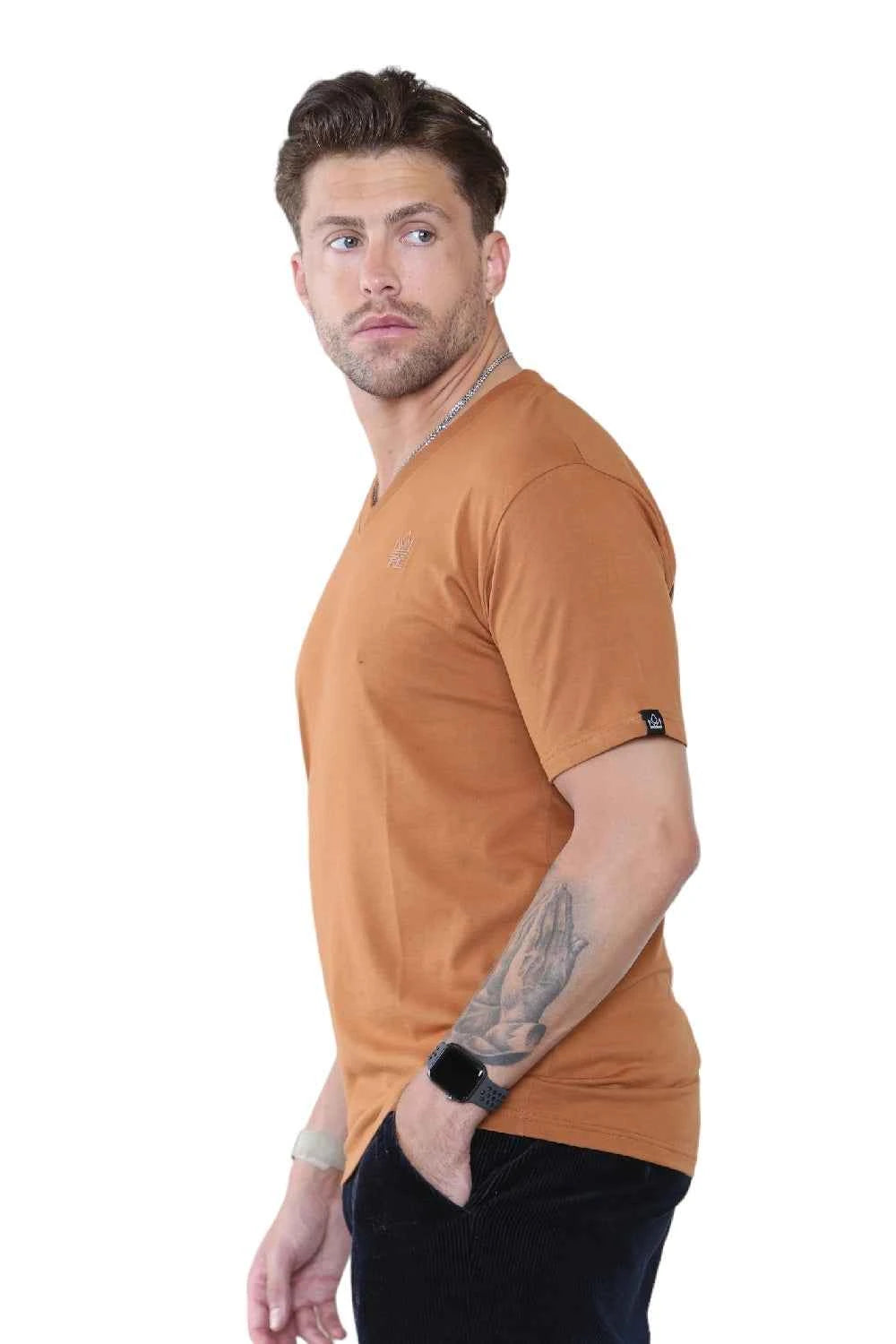 Pack of 4 Organic Cotton Men's V Neck T-Shirts