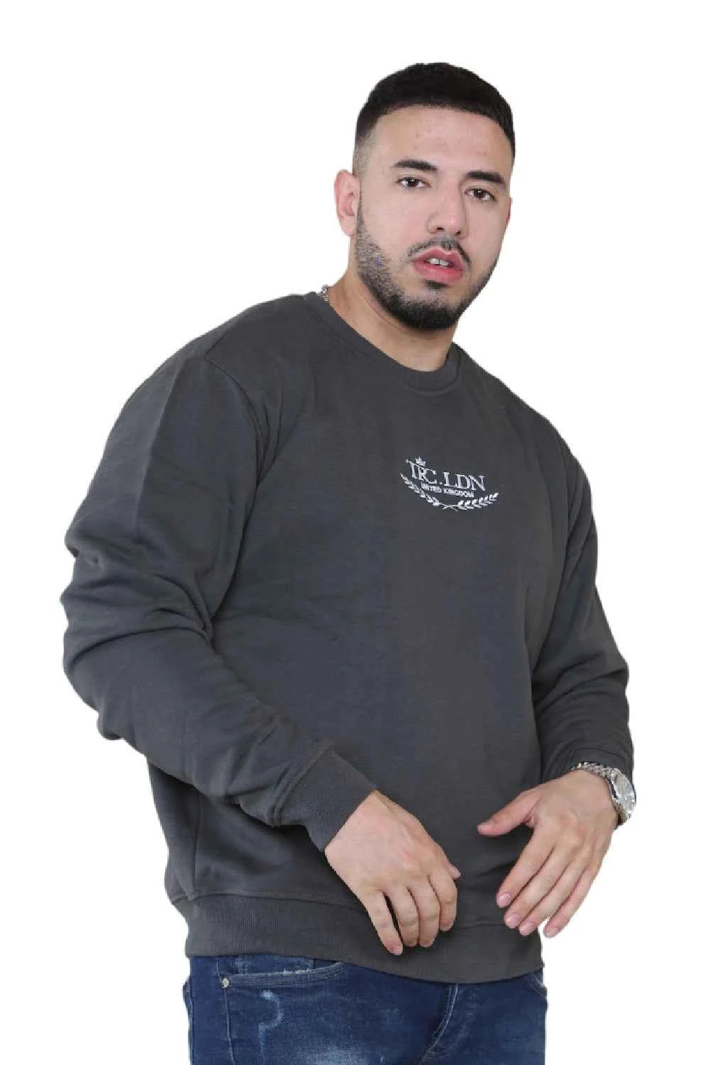 Unisex Loose Graphic Print Round Neck Longsleeves Sweatshirt