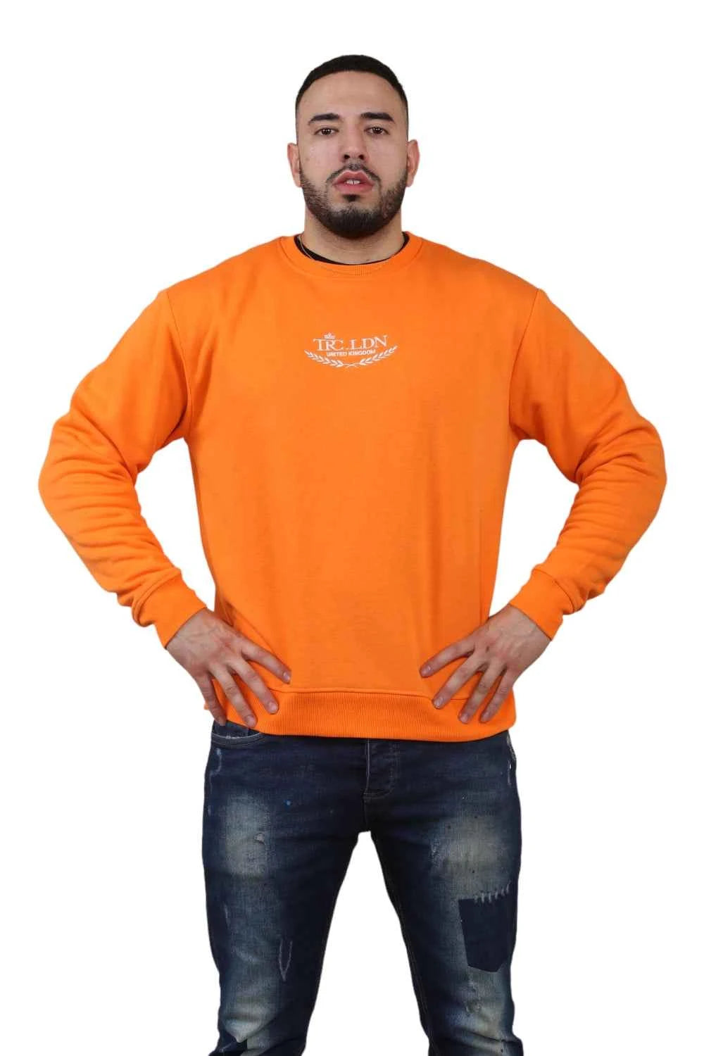 Unisex Loose Graphic Print Round Neck Longsleeves Sweatshirt