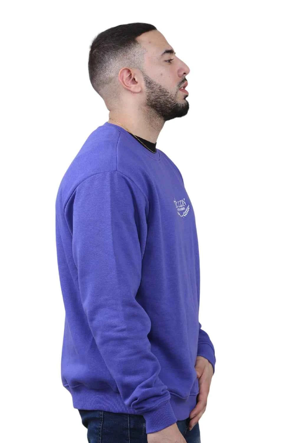 Unisex Loose Graphic Print Round Neck Longsleeves Sweatshirt