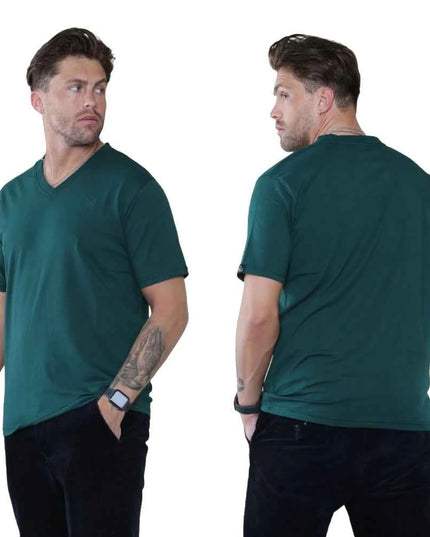 Pack of 4 Organic Cotton Men's V Neck T-Shirts