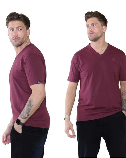 Pack of 4 Organic Cotton Men's V Neck T-Shirts