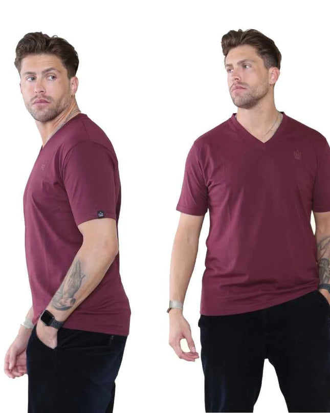 Pack of 4 Organic Cotton Men's V Neck T-Shirts
