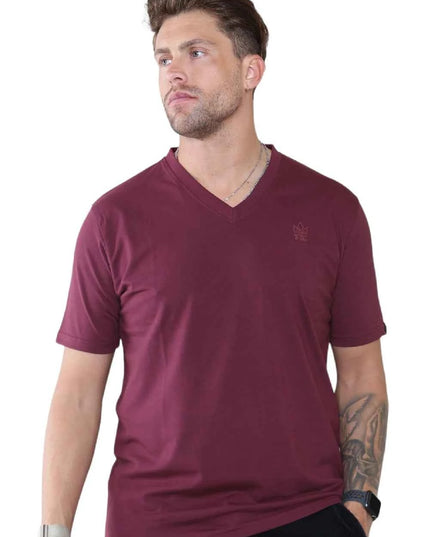 Pack of 4 Organic Cotton Men's V Neck T-Shirts