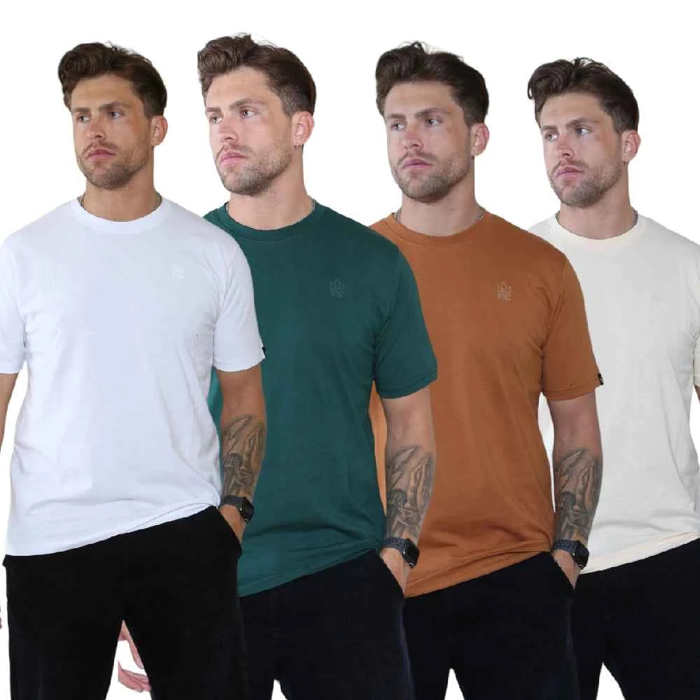 Pack of 4 Organic Cotton Men's V Neck T-Shirts