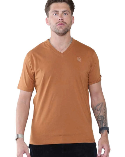 Pack of 4 Organic Cotton Men's V Neck T-Shirts