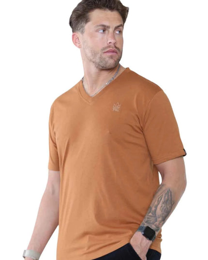 Pack of 4 Organic Cotton Men's V Neck T-Shirts