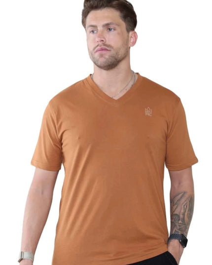 Pack of 4 Organic Cotton Men's V Neck T-Shirts