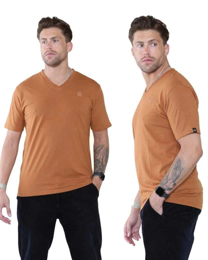 Pack of 4 Organic Cotton Men's V Neck T-Shirts