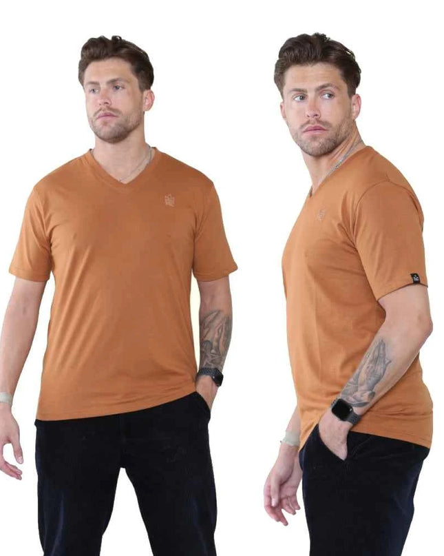 Pack of 4 Organic Cotton Men's V Neck T-Shirts