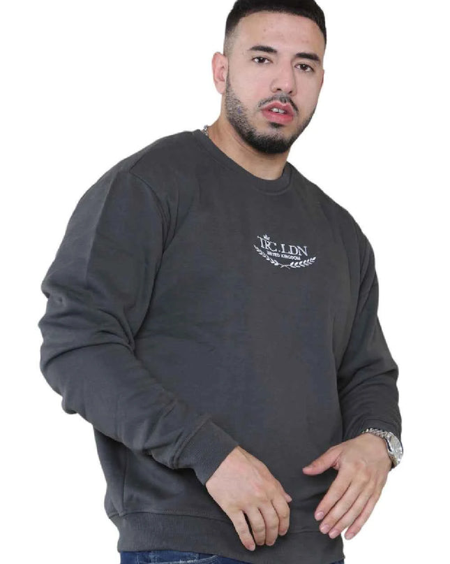 Unisex Loose Graphic Print Round Neck Longsleeves Sweatshirt