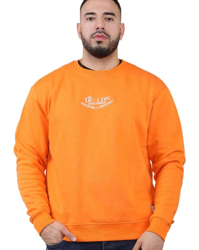 Unisex Loose Graphic Print Round Neck Longsleeves Sweatshirt