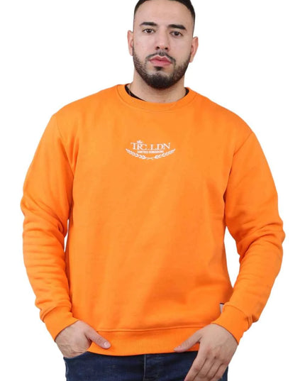 Unisex Loose Graphic Print Round Neck Longsleeves Sweatshirt