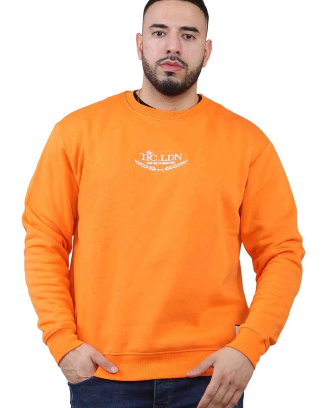 Unisex Loose Graphic Print Round Neck Longsleeves Sweatshirt