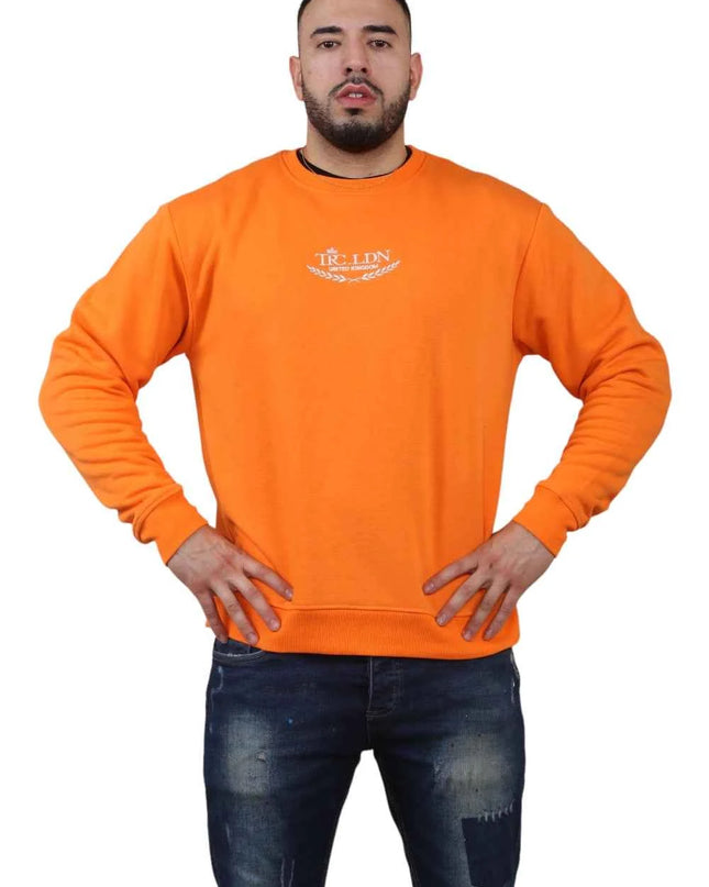 Unisex Loose Graphic Print Round Neck Longsleeves Sweatshirt