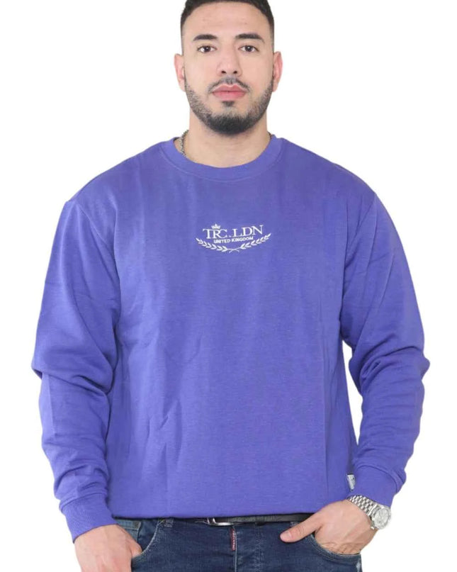 Unisex Loose Graphic Print Round Neck Longsleeves Sweatshirt