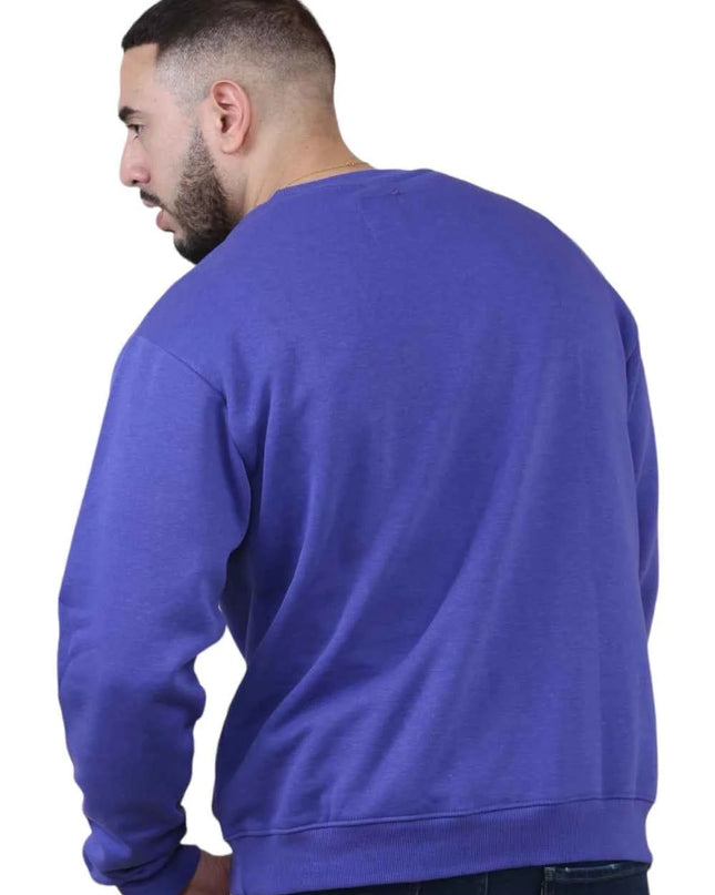 Unisex Loose Graphic Print Round Neck Longsleeves Sweatshirt